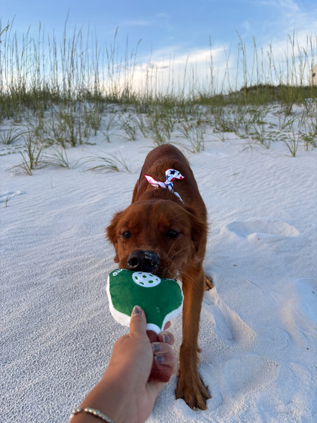 Green Stripe Pickleball Paddle Toy