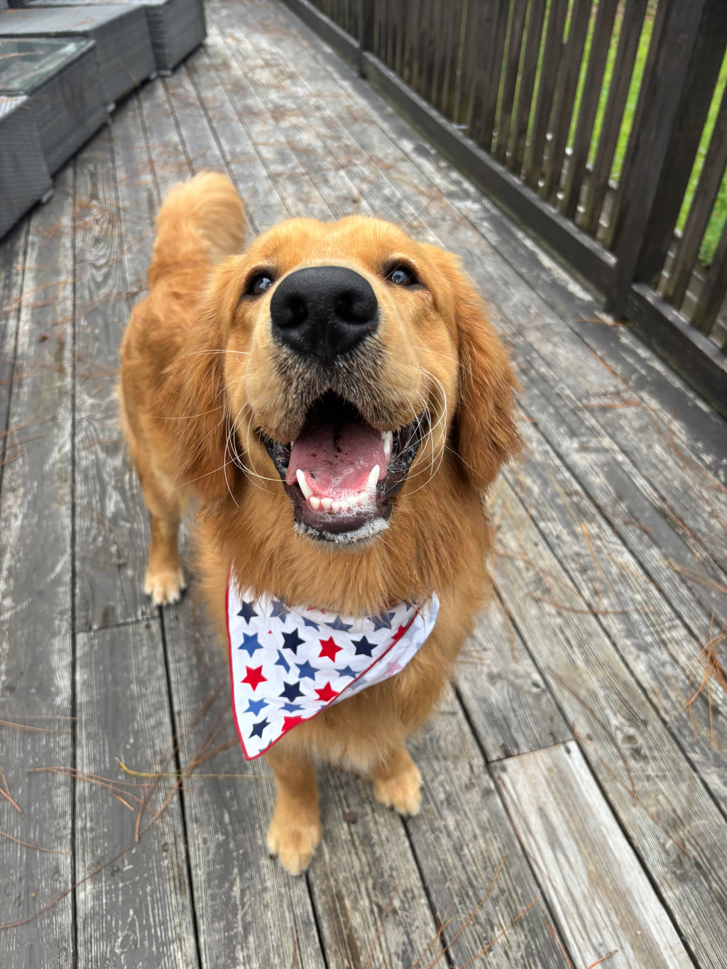 American Star Bandana