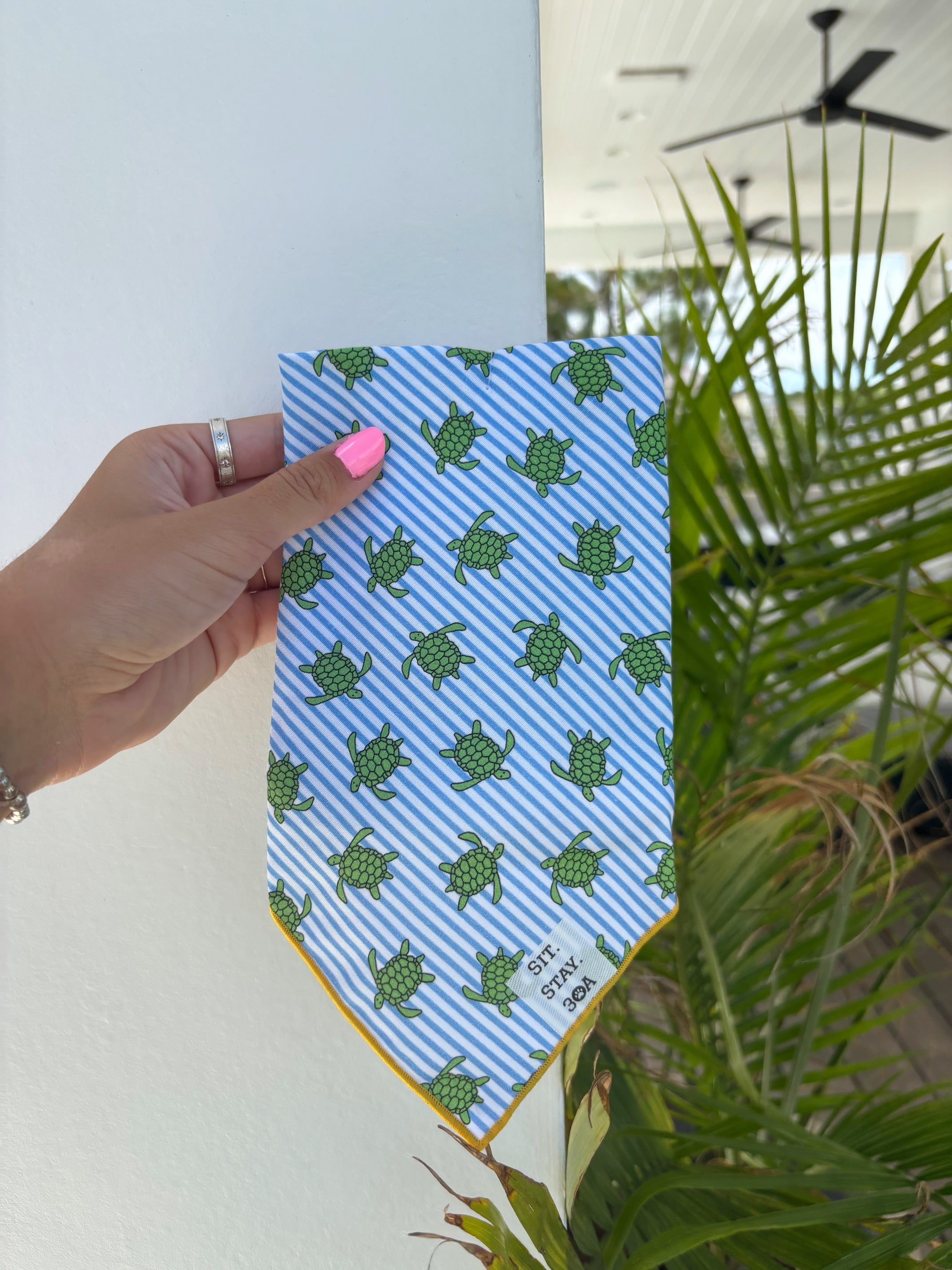 Baby Turtle Bandana – Sit Stay 30A