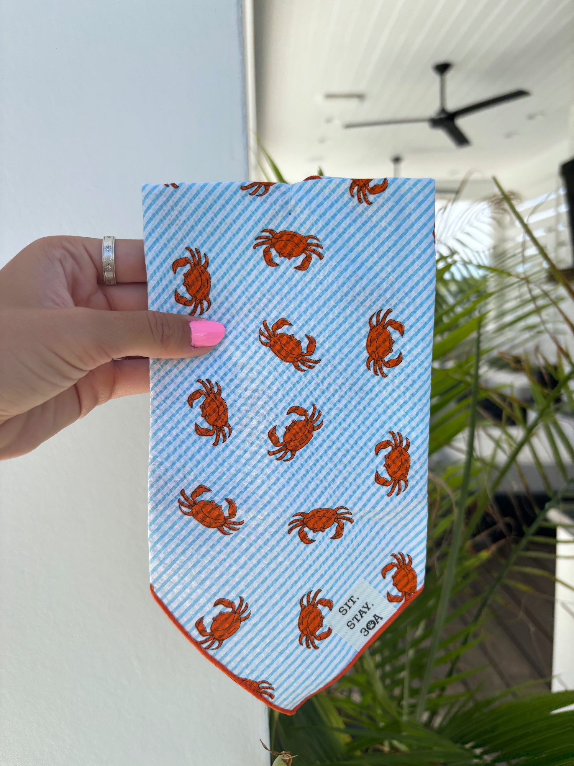 Summer Crab Bandana