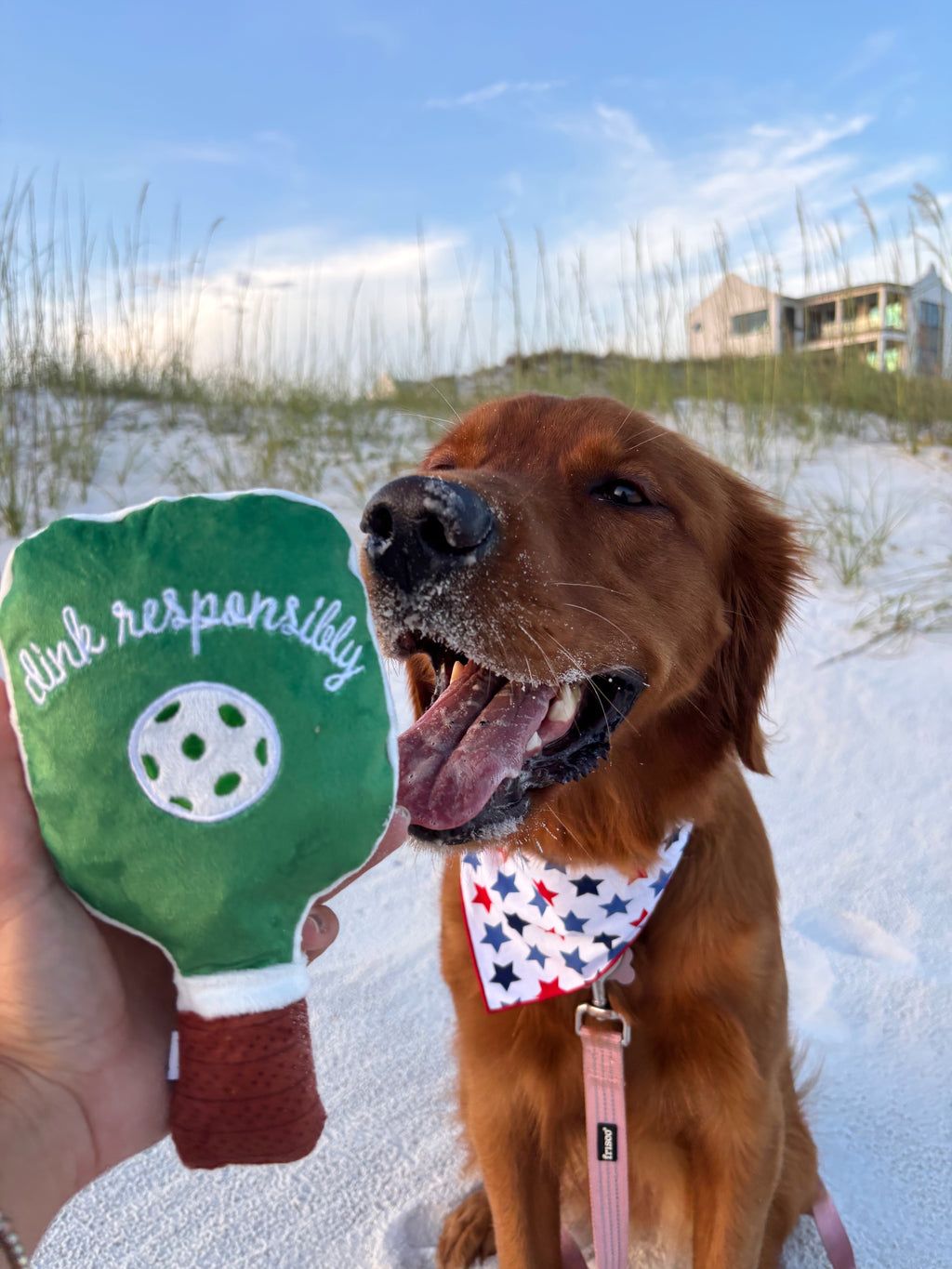 Green Stripe Pickleball Paddle Toy