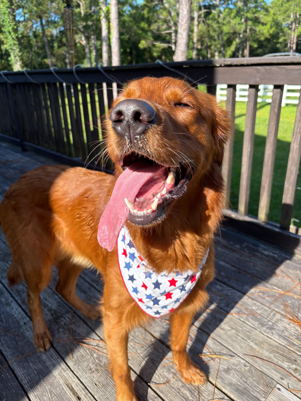 American Star Bandana