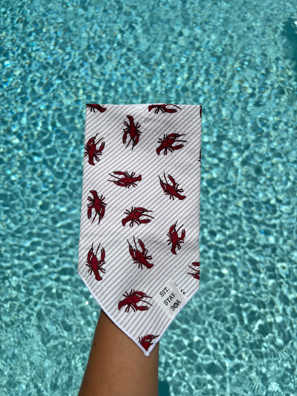 Lobster Bandana