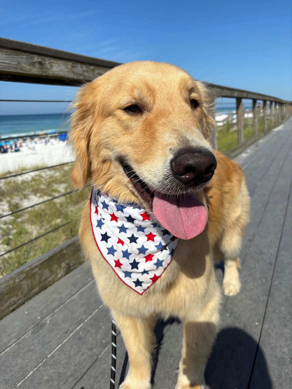 American Star Bandana