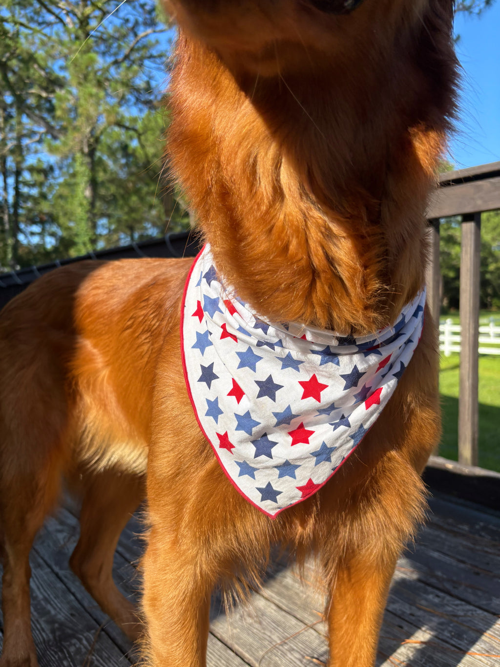American Star Bandana