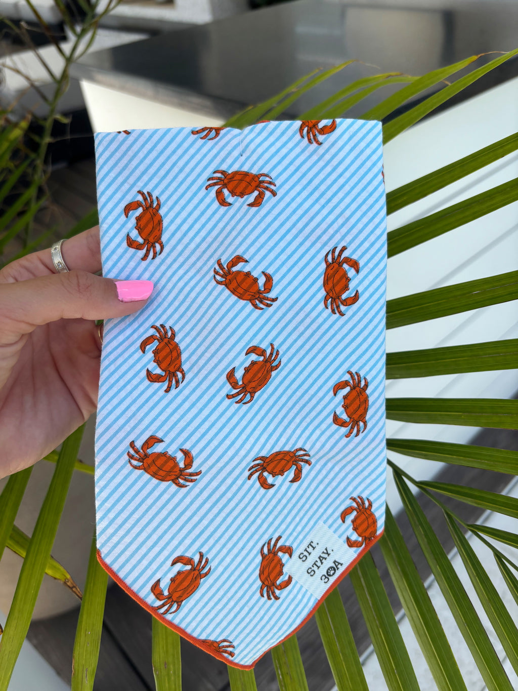 Summer Crab Bandana