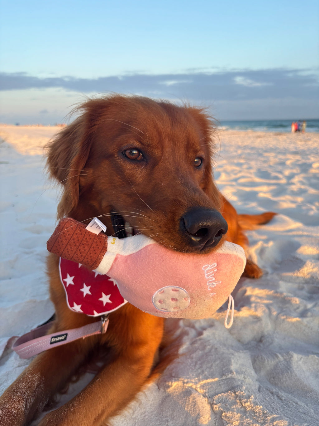 Pink Checker Pickleball Paddle Toy