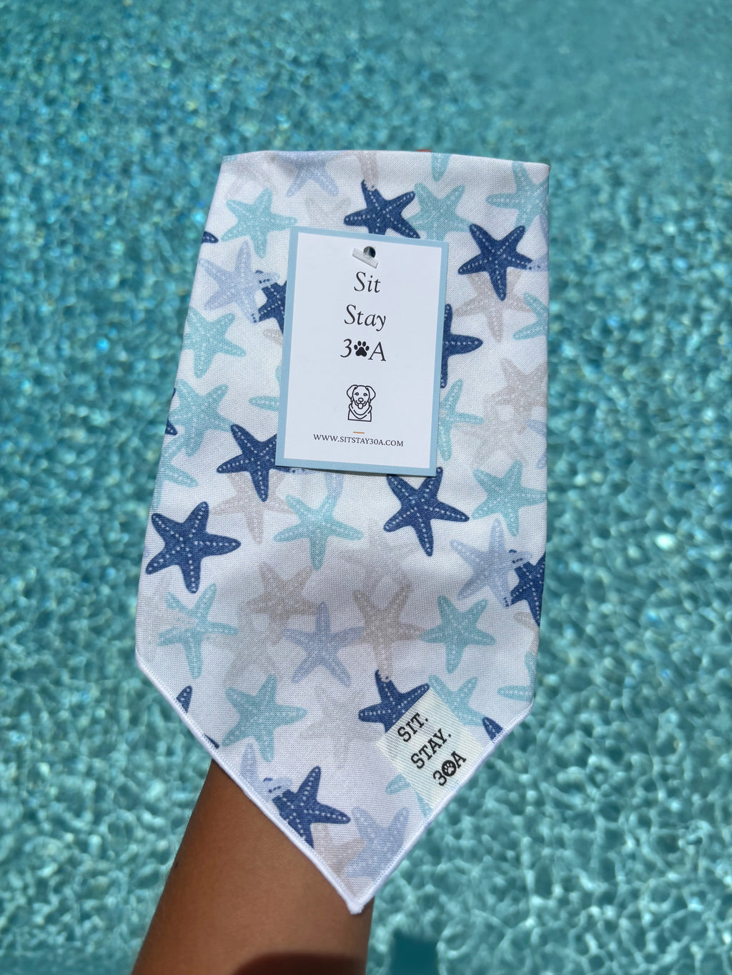 Starfish Bandana