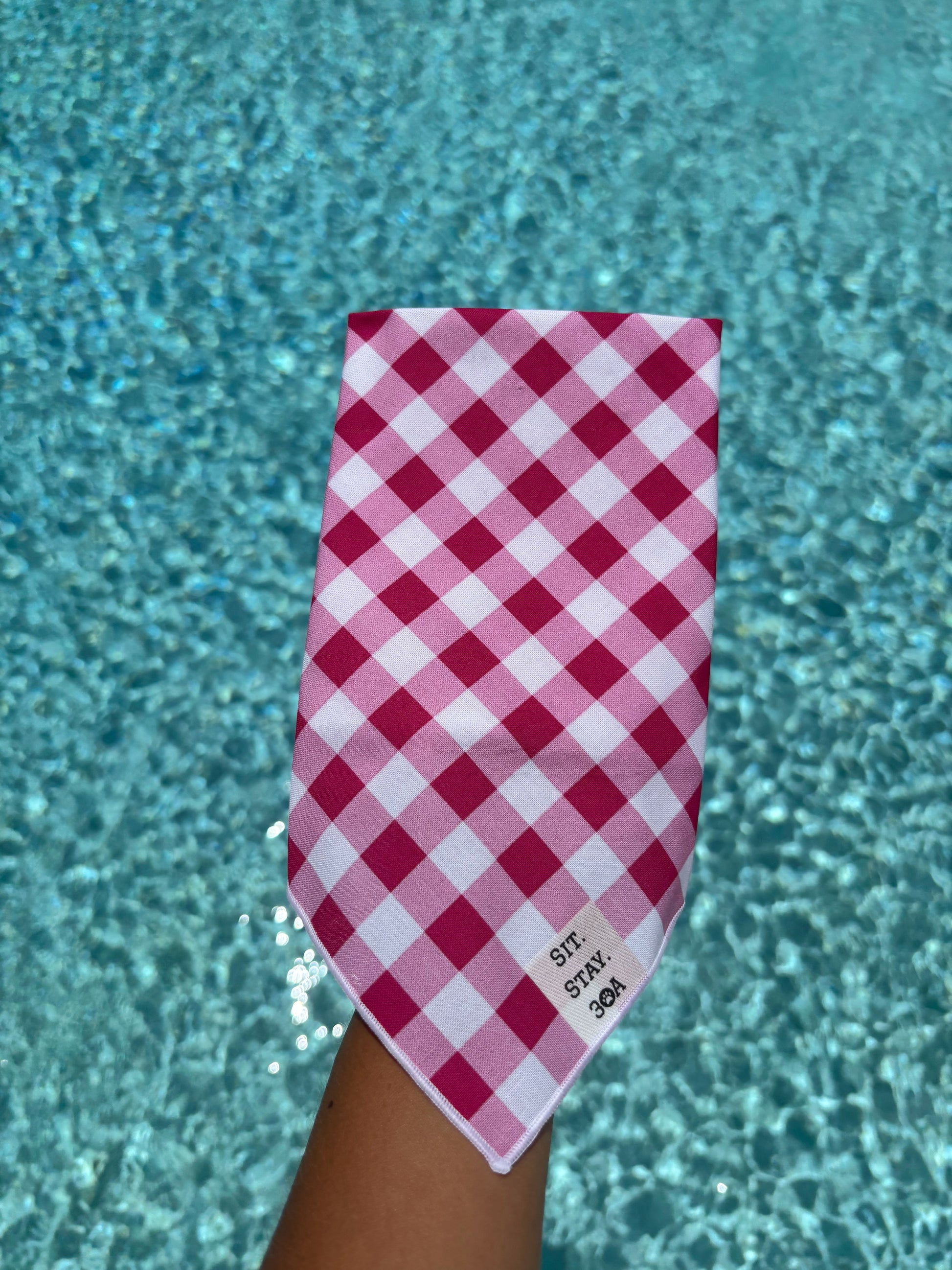 Raspberry Plaid Bandana