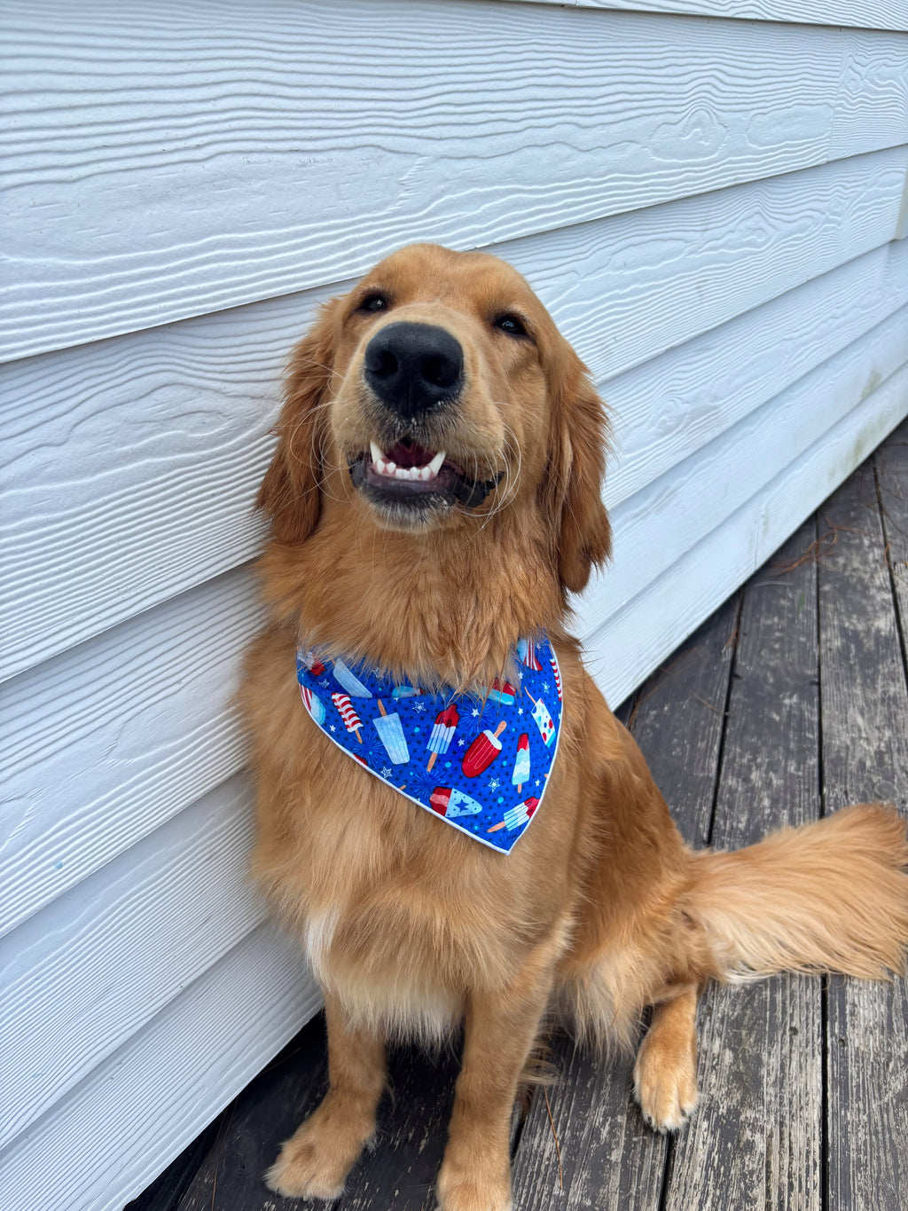 Patriotic Ice Cream Bandana