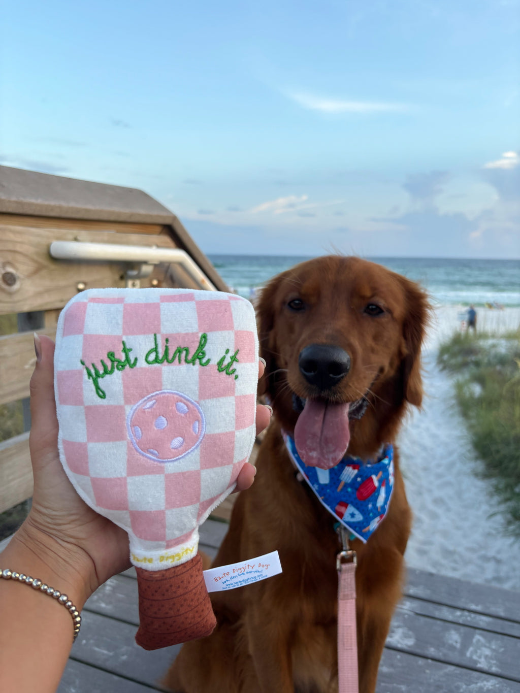 Pink Checker Pickleball Paddle Toy