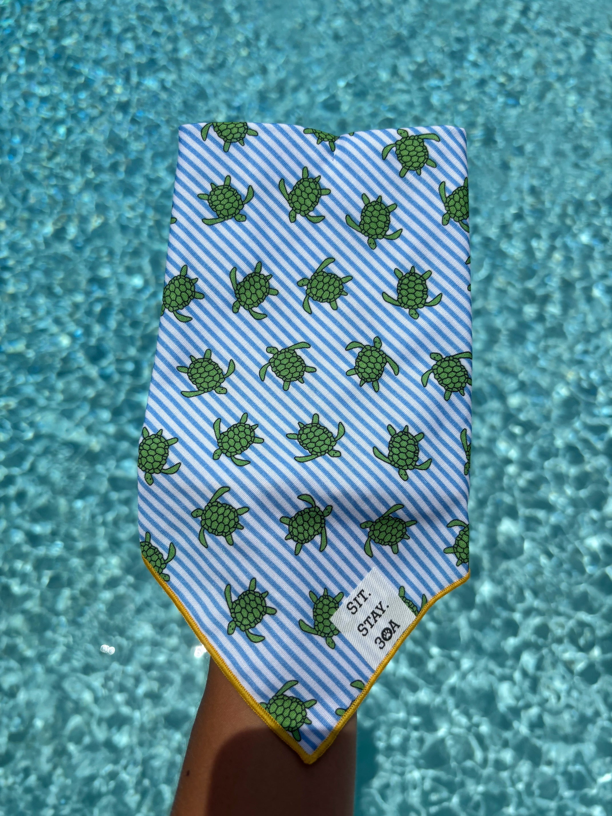 Baby Turtle Bandana – Sit Stay 30A