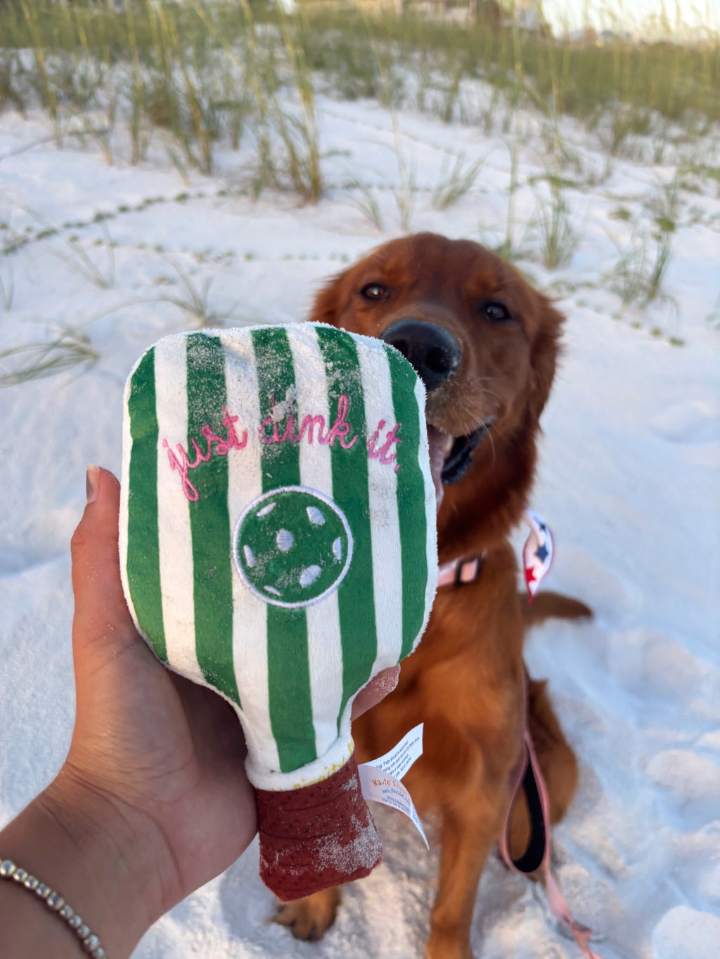 Green Stripe Pickleball Paddle Toy