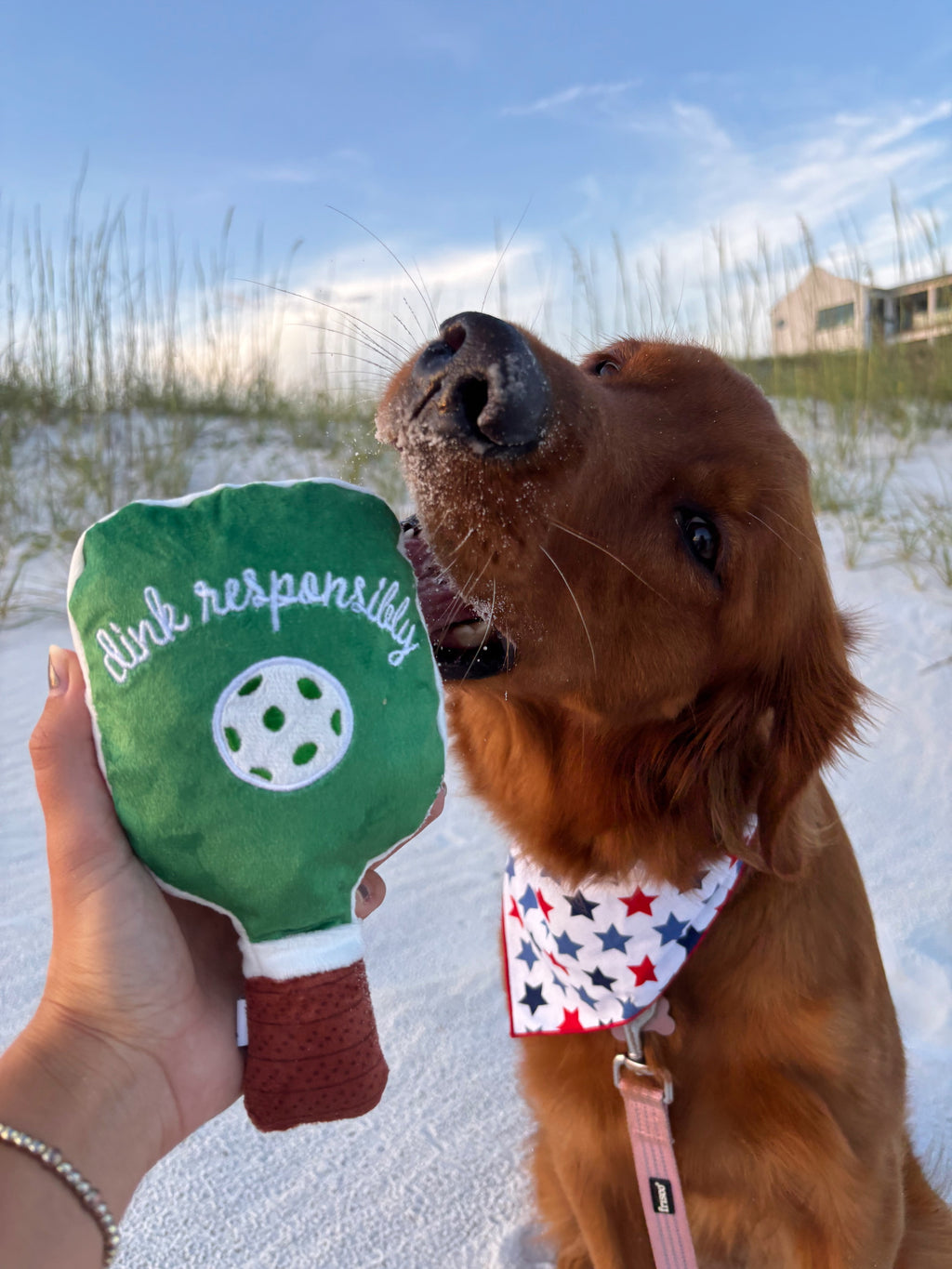 Green Stripe Pickleball Paddle Toy