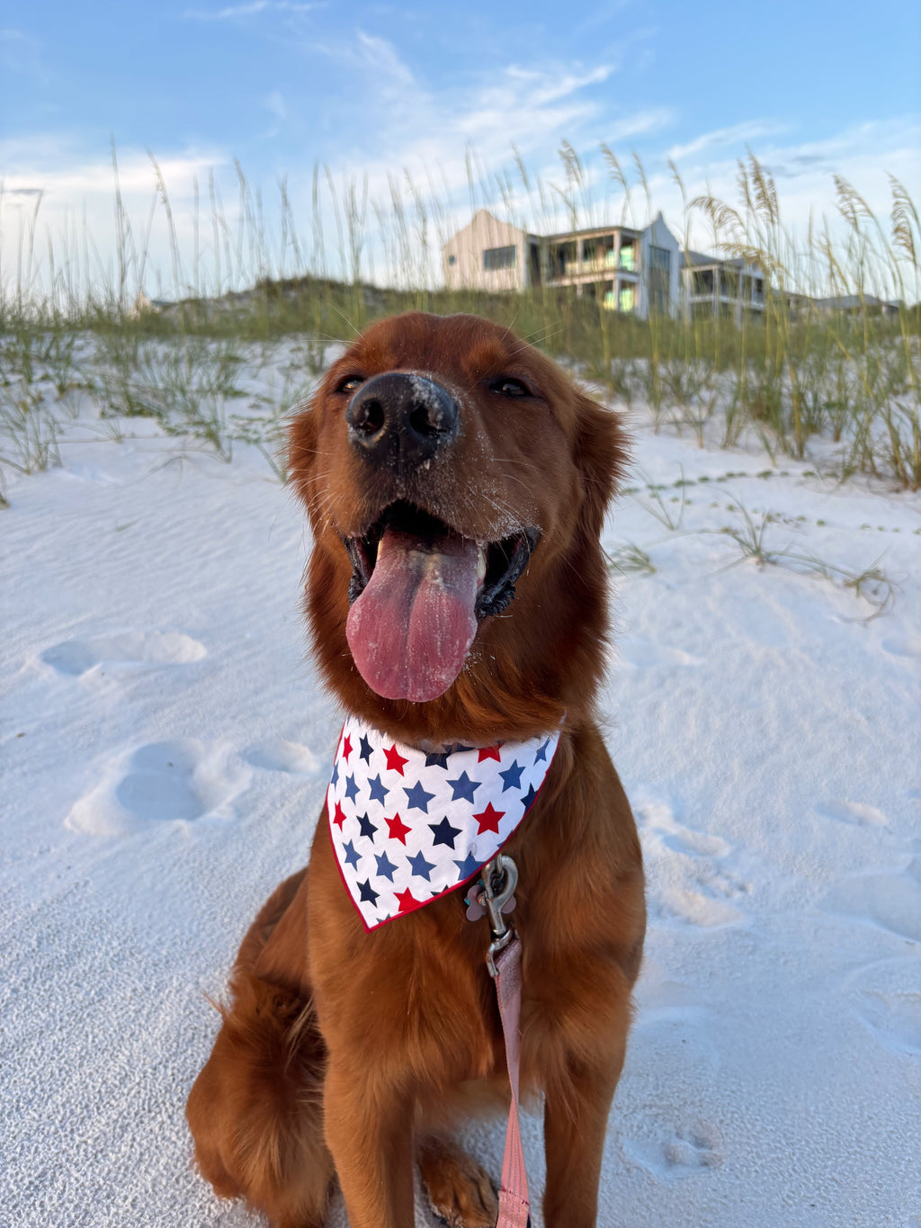 American Star Bandana
