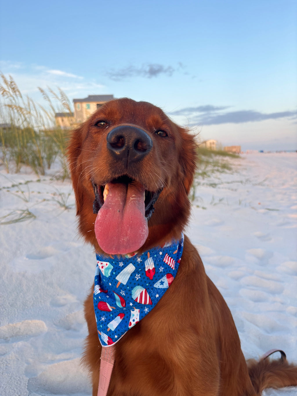 Patriotic Ice Cream Bandana