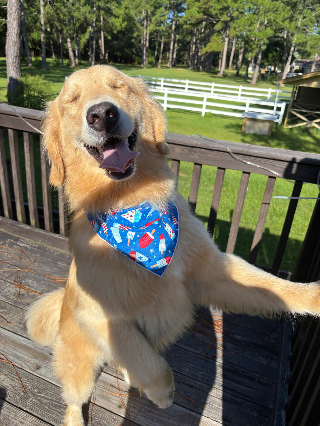 Patriotic Ice Cream Bandana