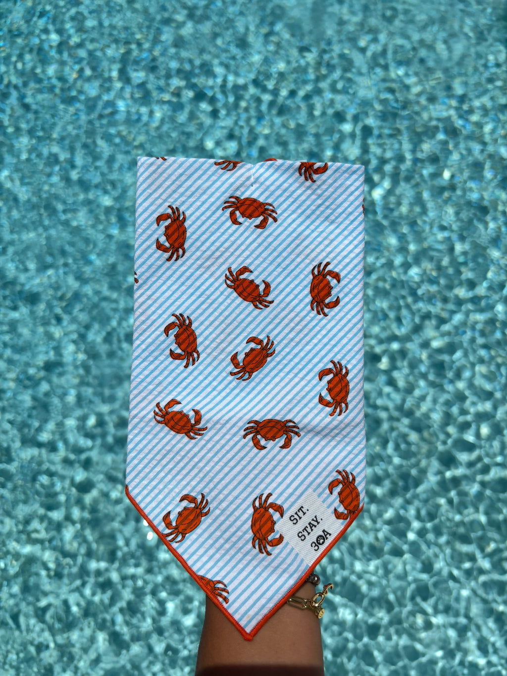 Summer Crab Bandana