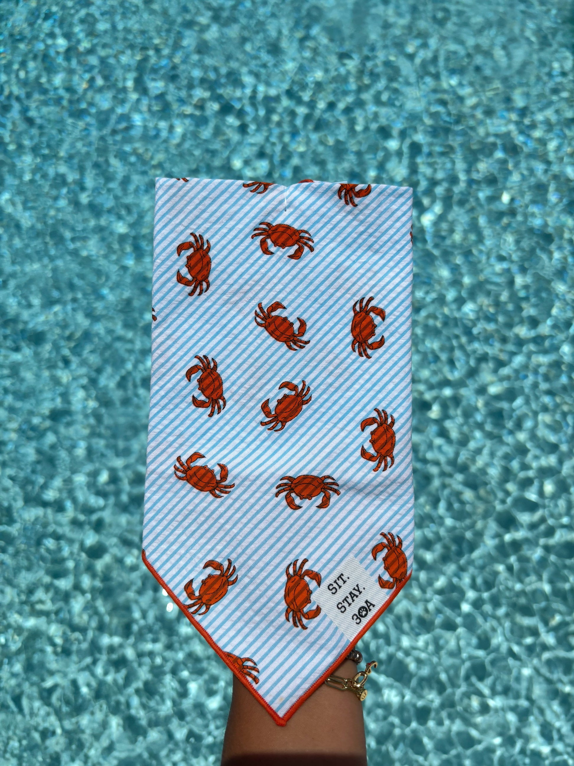 Summer Crab Bandana