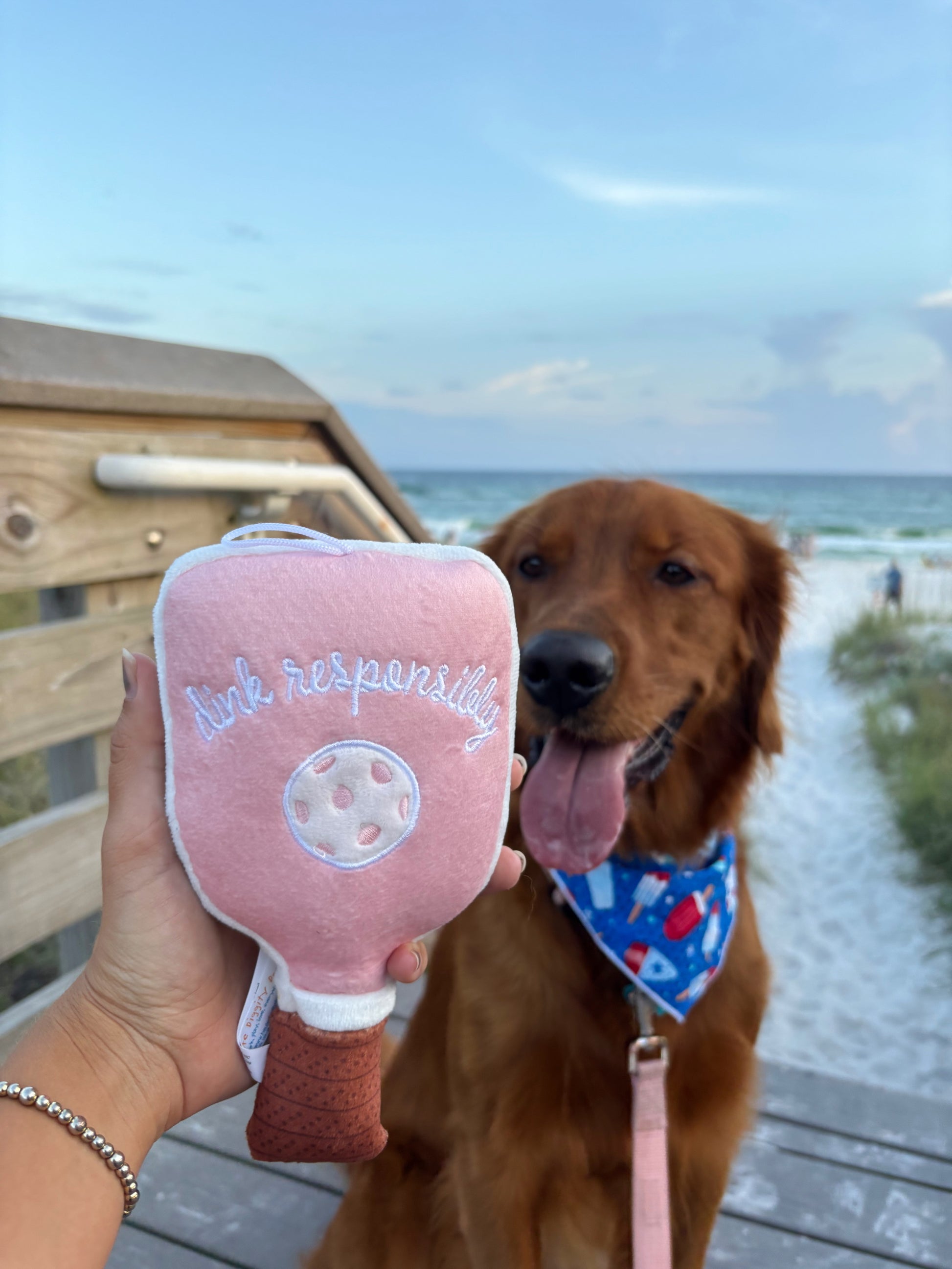 Pink Checker Pickleball Paddle Toy